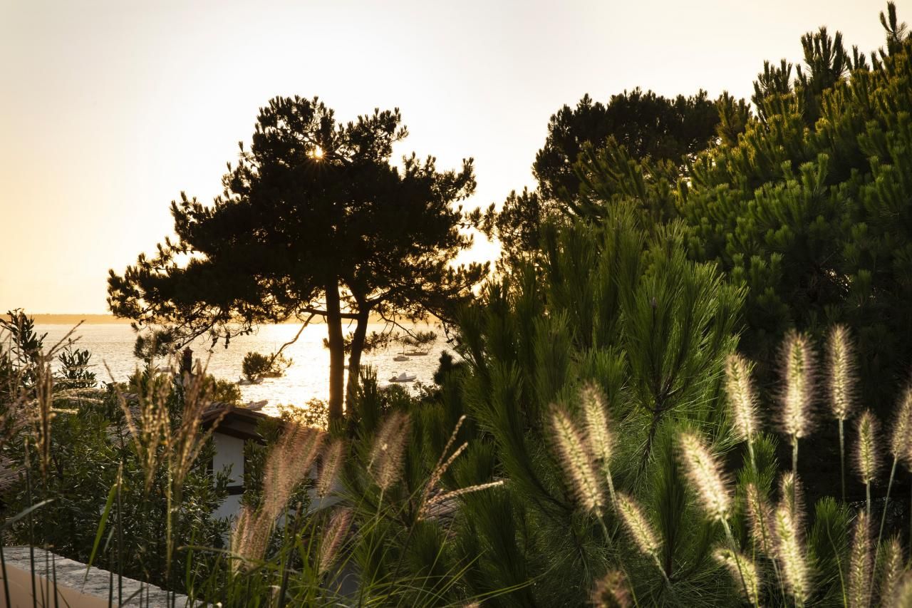 Villa du Pyla - Beach